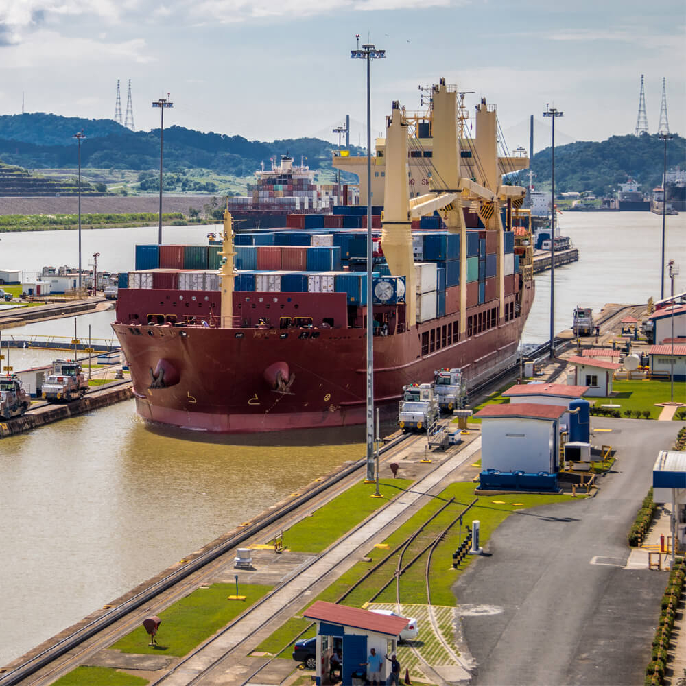 Importación y Exportación